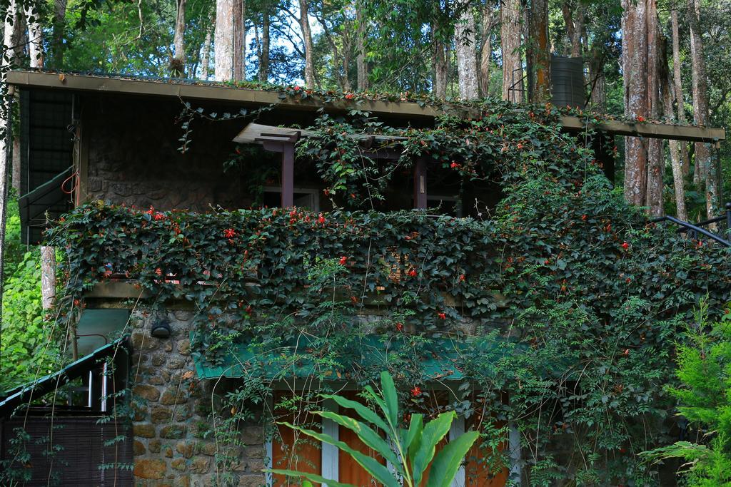 Greenspaces B&B Муннар Екстер'єр фото