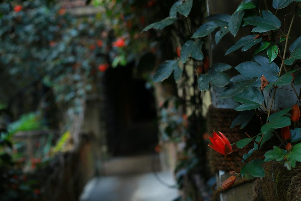 Greenspaces B&B Муннар Екстер'єр фото
