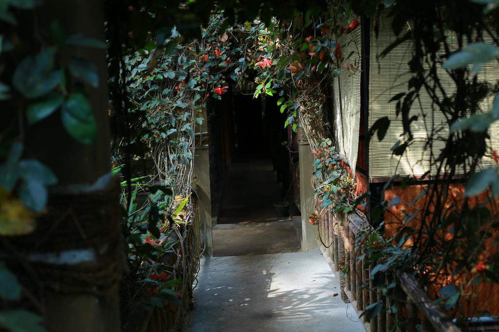 Greenspaces B&B Муннар Екстер'єр фото