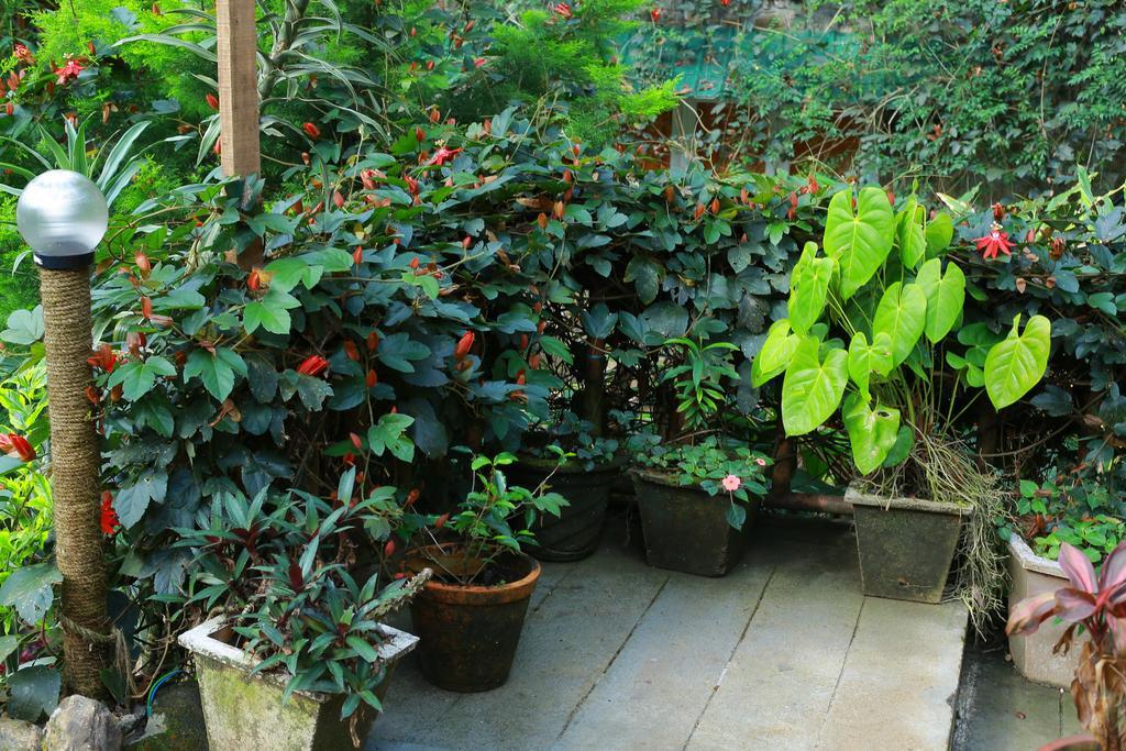 Greenspaces B&B Муннар Екстер'єр фото