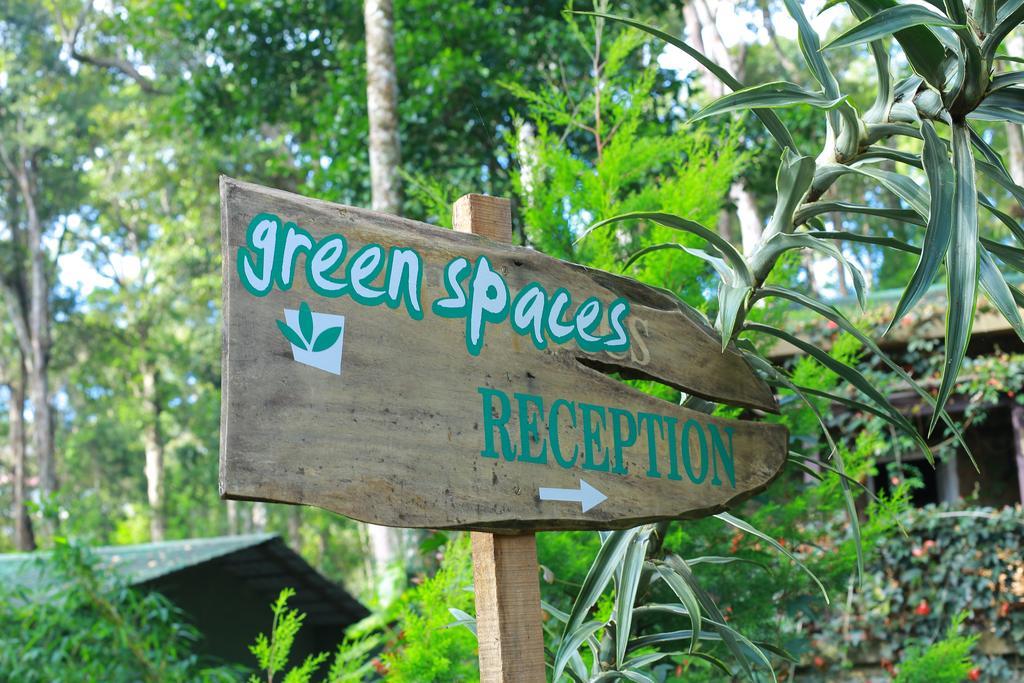 Greenspaces B&B Муннар Екстер'єр фото