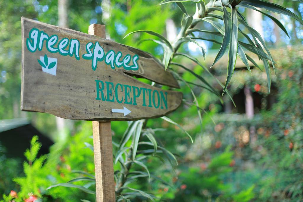 Greenspaces B&B Муннар Екстер'єр фото
