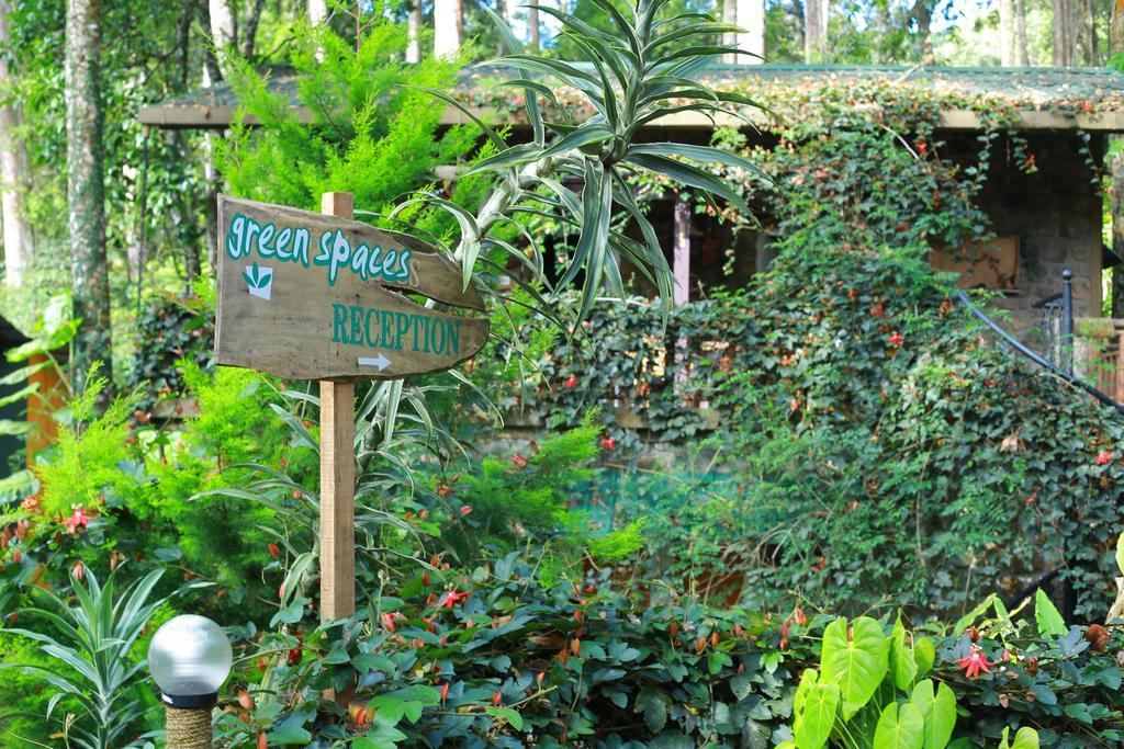 Greenspaces B&B Муннар Екстер'єр фото