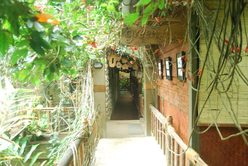 Greenspaces B&B Муннар Екстер'єр фото