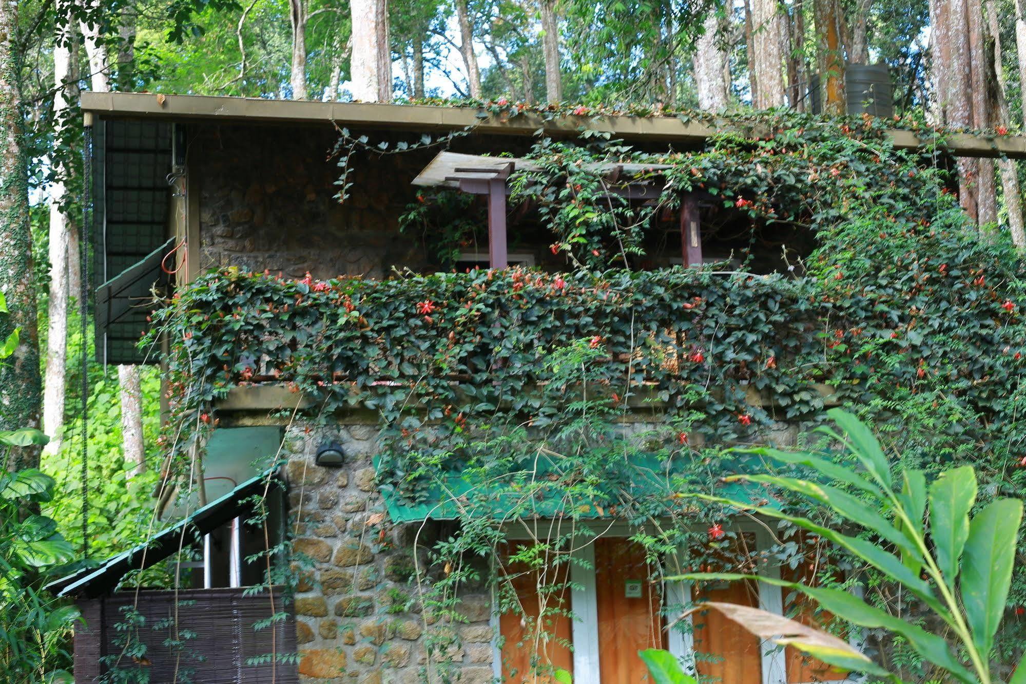 Greenspaces B&B Муннар Екстер'єр фото